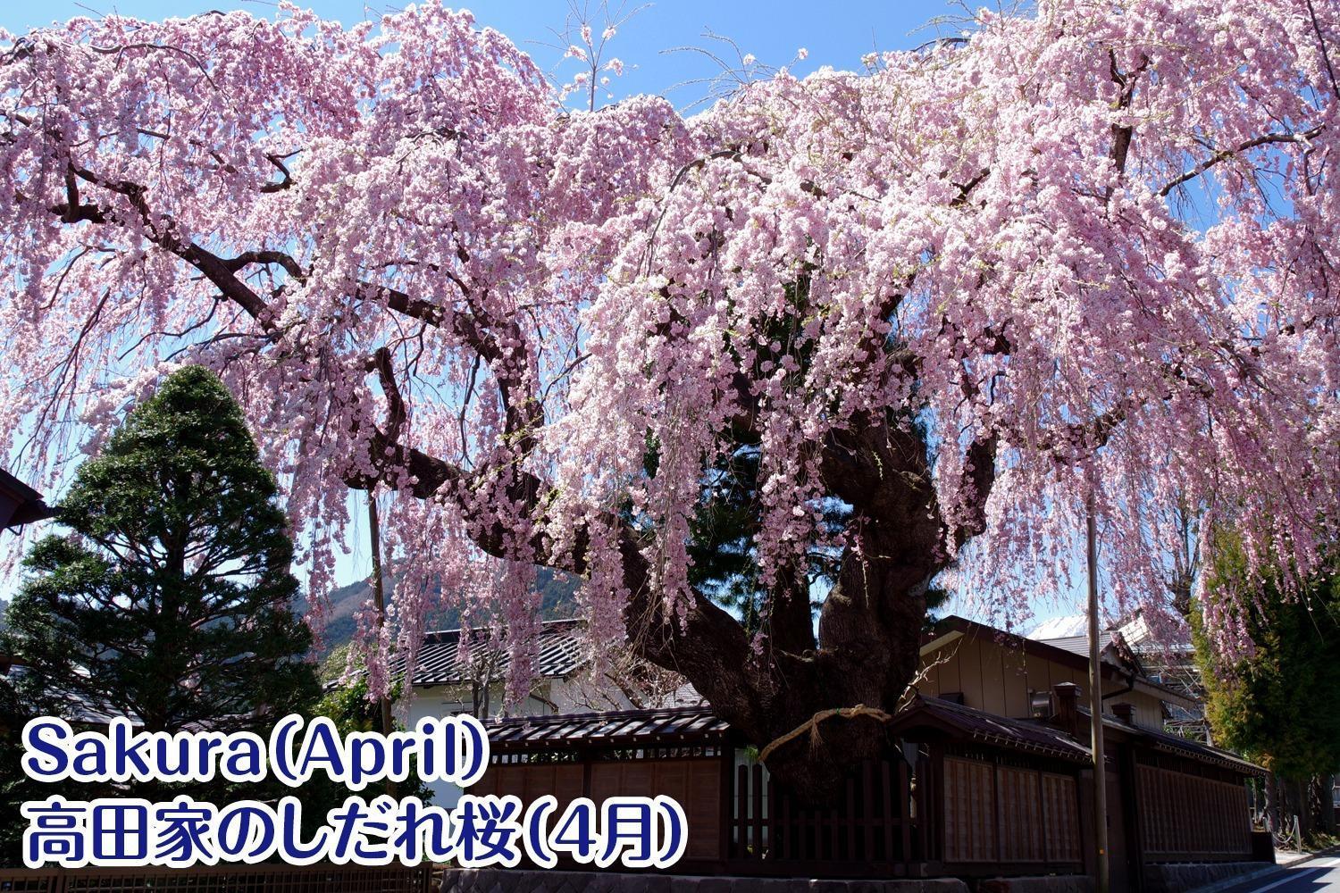 Nikko Stay House Arai - Vacation Stay 14994V Luaran gambar